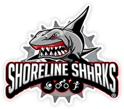 Shorline Sharks 